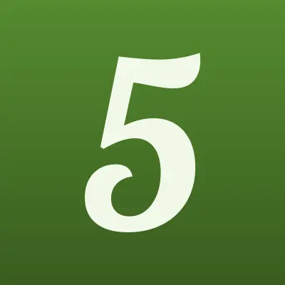 555, автомойка, лого-визитка
