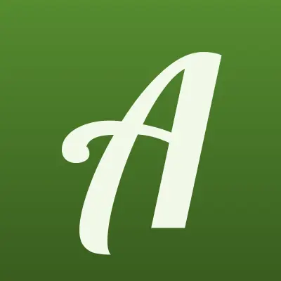 Академия АЙТИ, лого-визитка