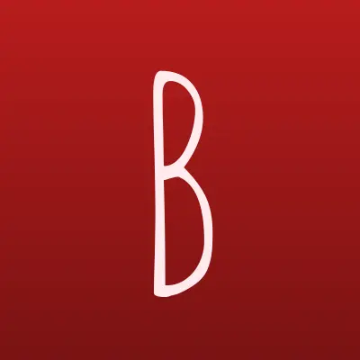 Бизнес Решения, агентство, лого-визитка