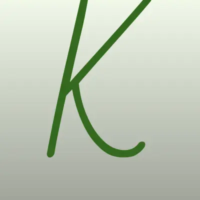 Компания, ИП Жуйков К.Н., лого-визитка