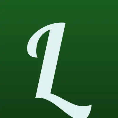 Lizya, магазин штор, лого-визитка