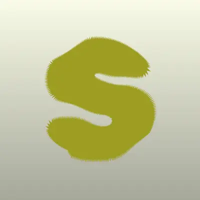 Sky, прачечная компания, лого-визитка