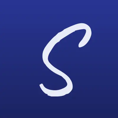 Skyberry, студия воздушного декора, лого-визитка