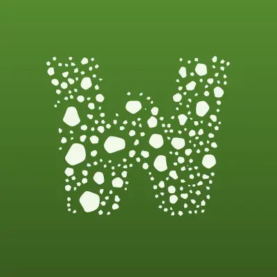 WBSTAR, веб-студия, лого-визитка